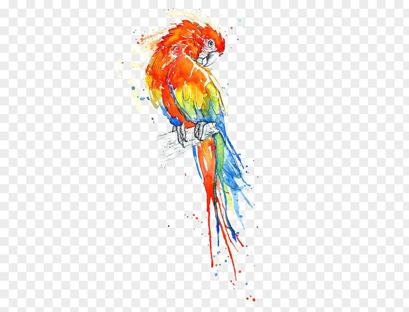 Water Parrot Bird True Watercolor Painting Macaw PNG