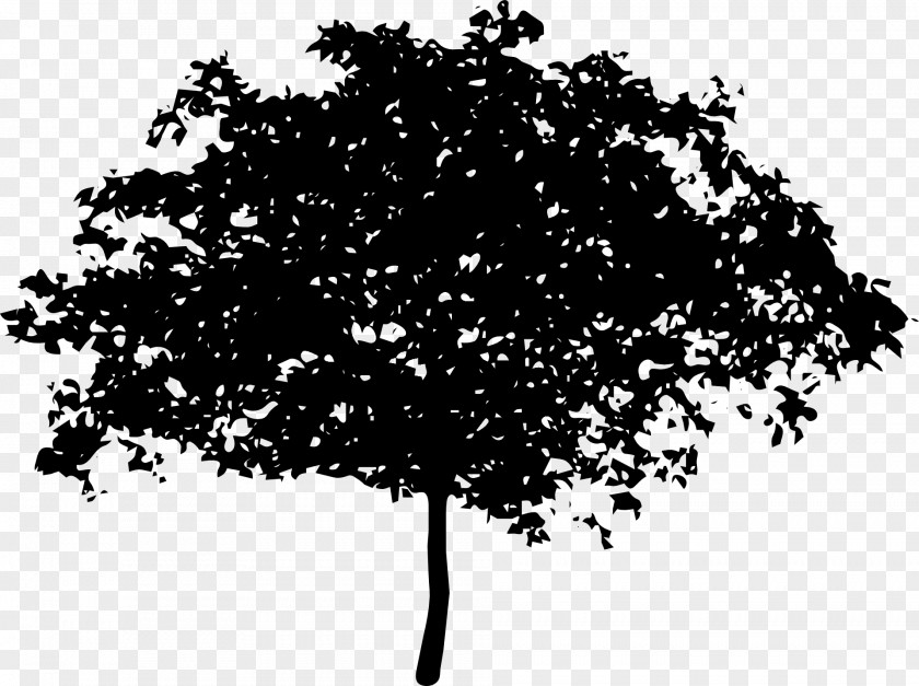 Bushes Tree Magnolia Branch Clip Art PNG