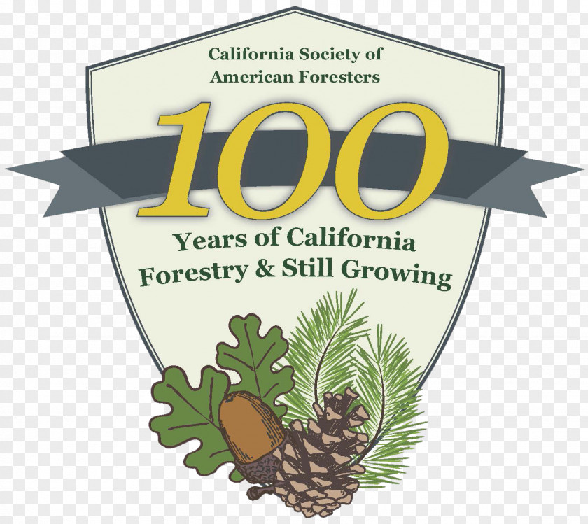 California Northern Southern Society Of American Foresters Forestry Arborist PNG