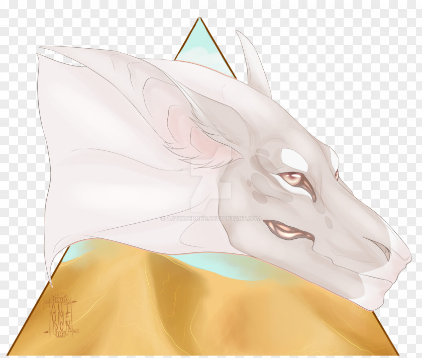 Ear Snout Hare Jaw PNG