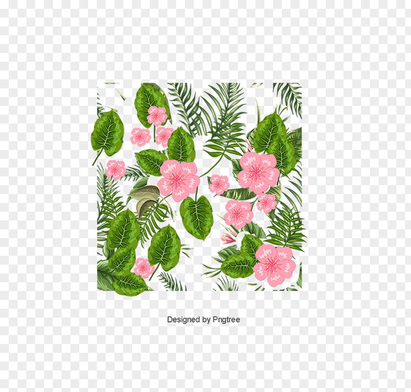 Flower Petal Vector Graphics Psd PNG