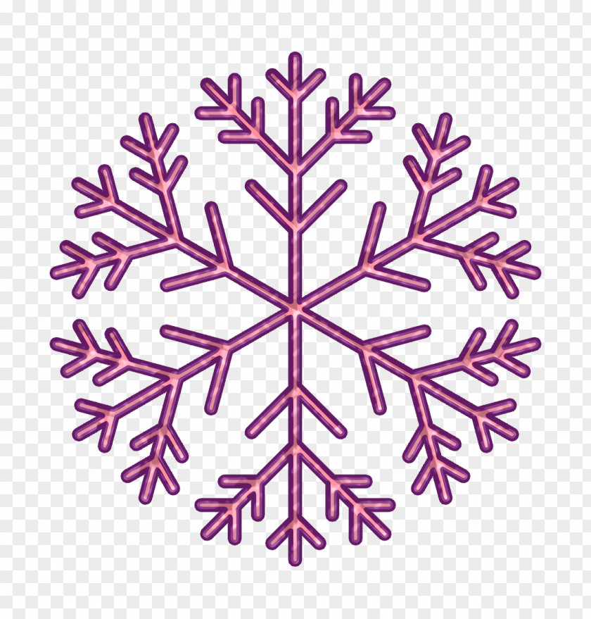 Plant Snowflake Christmas Icon Holiday Season PNG