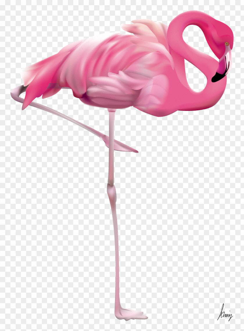 Flamingo[ Flamingo Clip Art PNG
