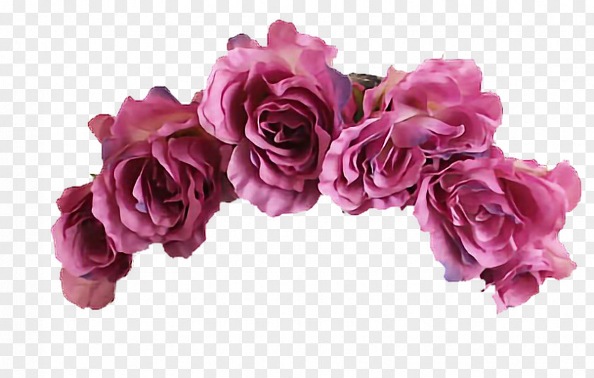 Flower Clip Art Floral Design Image PNG