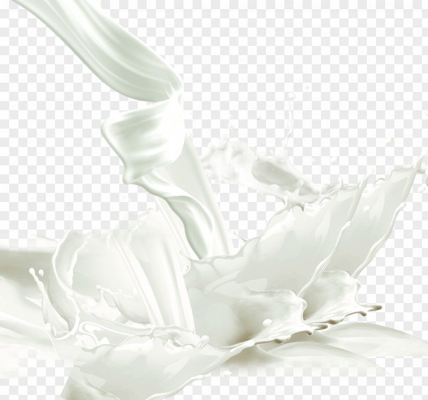 Milk Material Effect Cows Powdered PNG