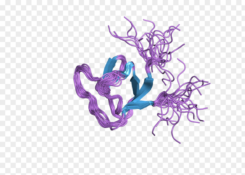 Neutrophil Cytosolic Factor 2 Gene Protein PNG