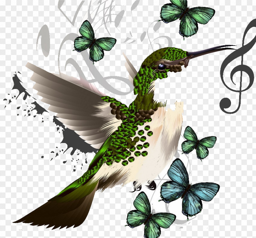 Sparrow Musical Note Stock Illustration Royalty-free Photography PNG