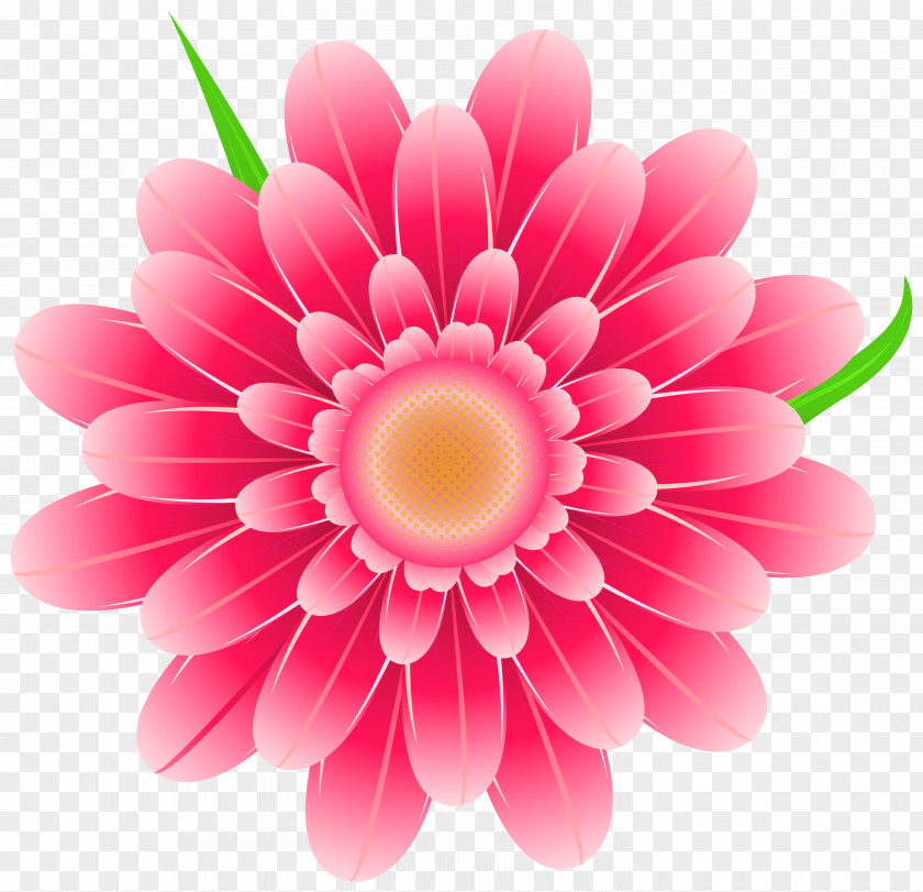Transparent Pink Flower Clipart Image Flowers Clip Art PNG