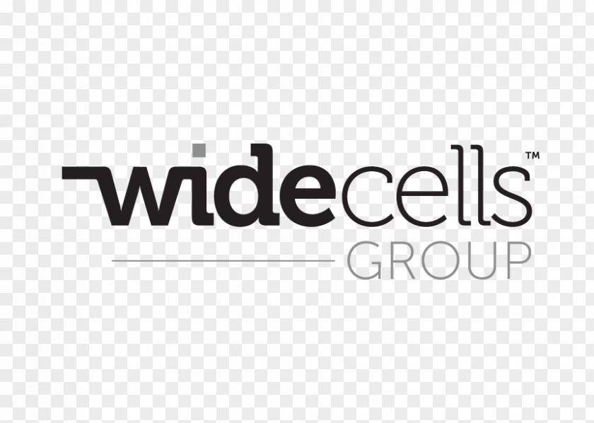 Widecells Group WideCells LON:WDC Chief Executive Business PNG