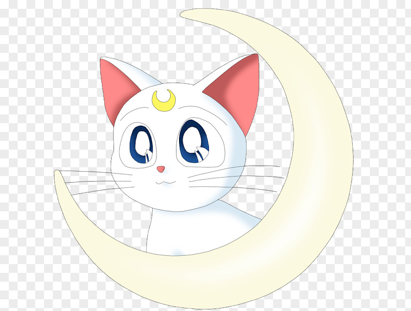 Anchore Bubble Luna Sailor Mars Chibiusa Artemis Venus PNG