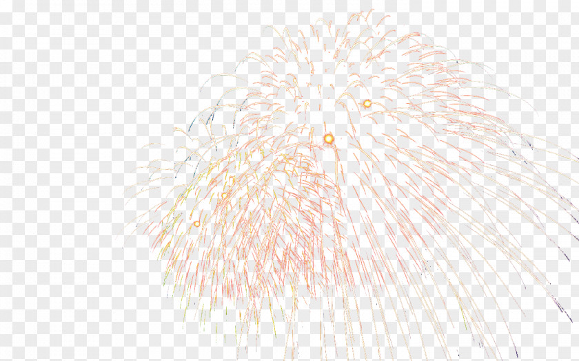 Beautiful Fireworks Fur Pattern PNG