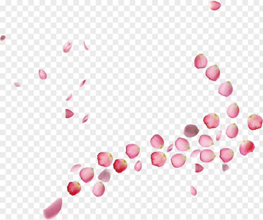 Falling Peach Blossoms Petal Template Pink PNG