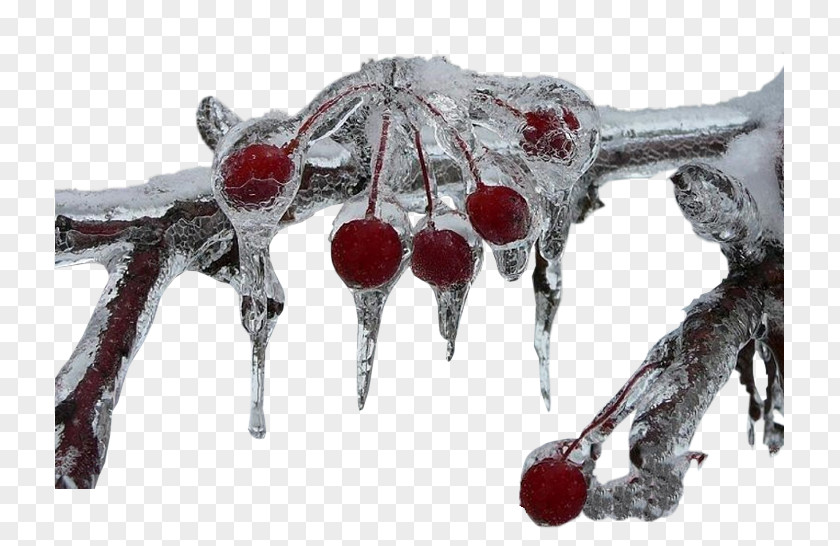 Frozen Cherries United States Ice Cube Candle PNG