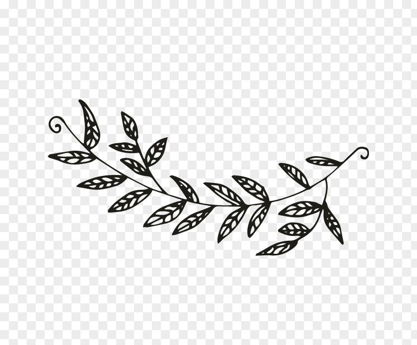 Oakleaf Hydrangea Feather Twig Body Jewellery Leaf Font PNG