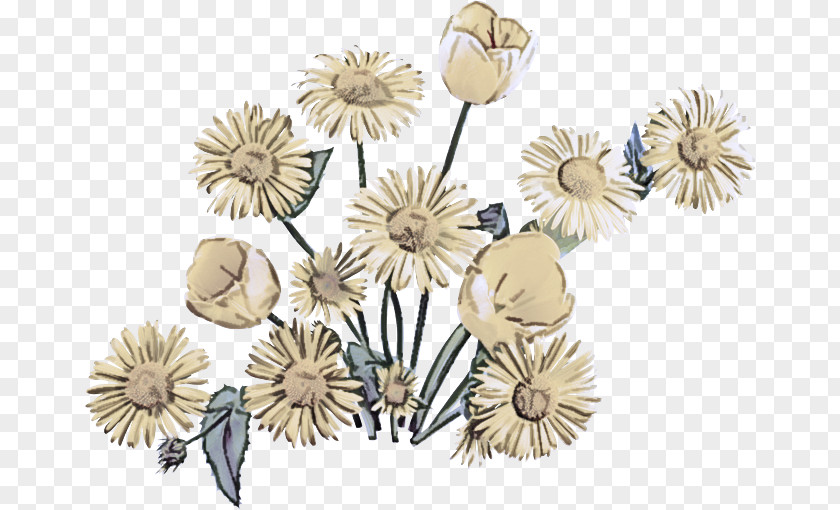 Perennial Plant Anemone Dandelion Flower Wildflower PNG