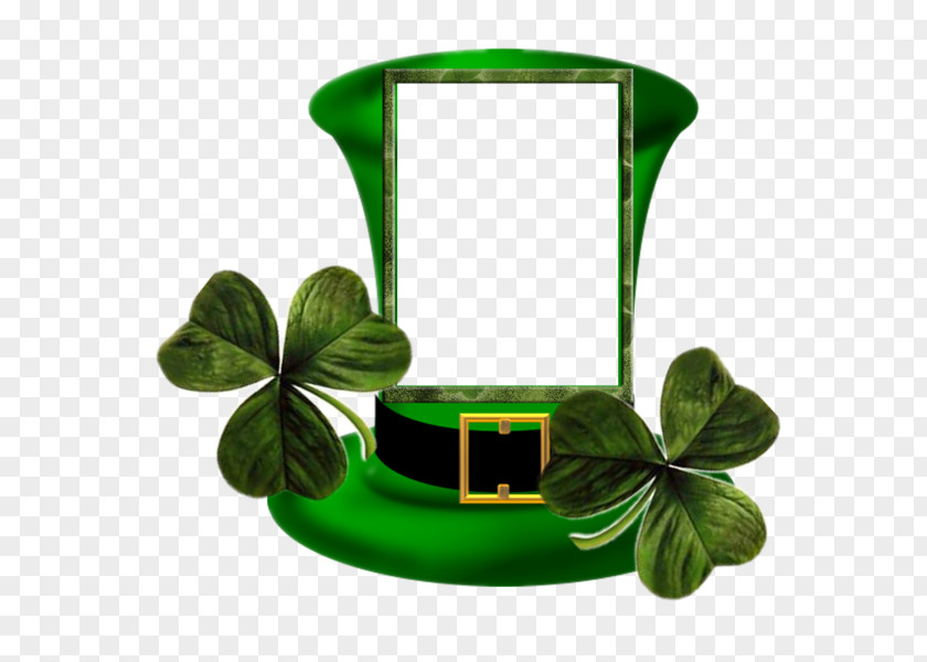 Saint Patrick Ireland Patrick's Day Party March 17 PNG