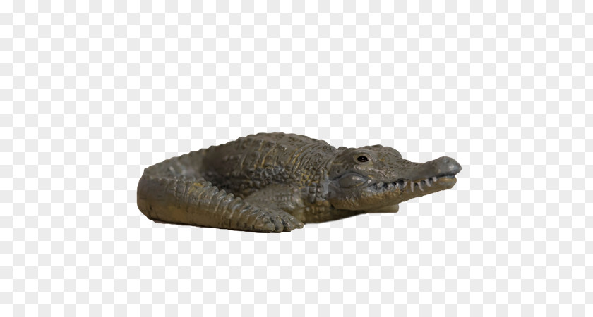 American Alligator Nile Crocodile Yowie PNG