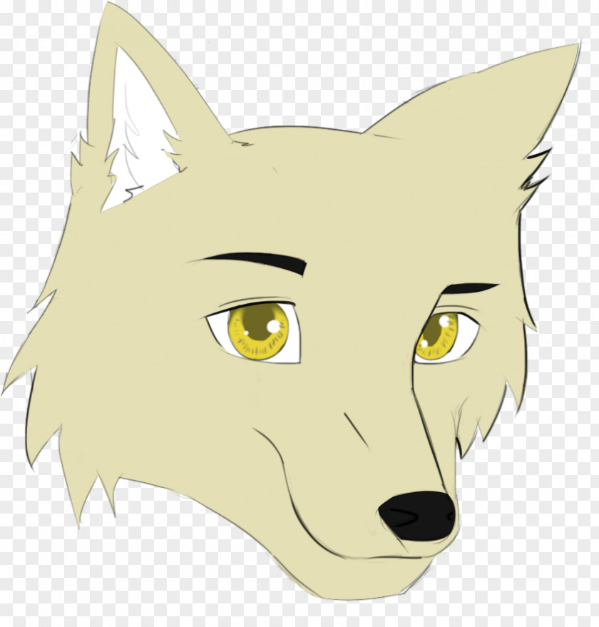 Cat Whiskers Red Fox Snout Dog PNG