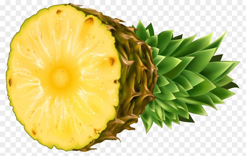Durian Pineapple Fruit Slice Clip Art PNG