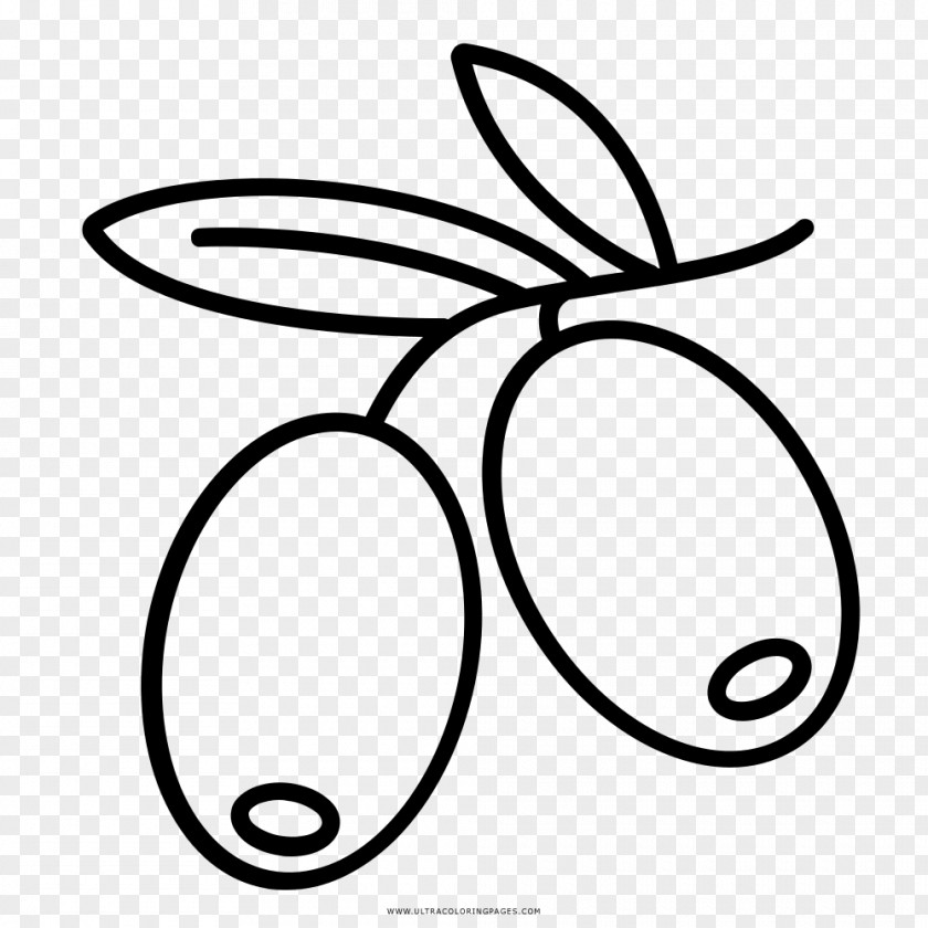 Olive Drawing Coloring Book Line Art Black And White PNG