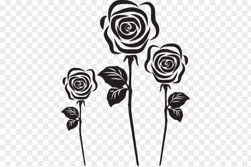 Flower Clip Art Drawing Rose PNG