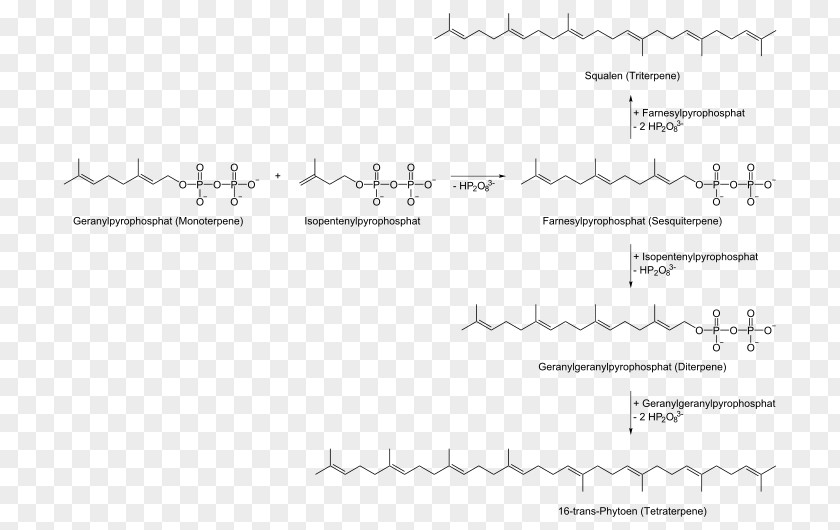 Gewinnung Terpene Biosynthesis Geranyl Pyrophosphate Terpenoid Terpinene PNG