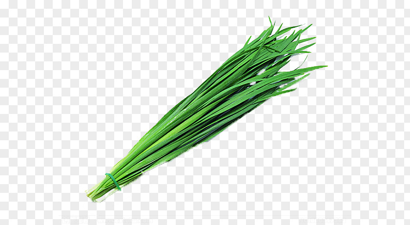 Green Vegetables,Chives Garlic Chives Onion Leek PNG