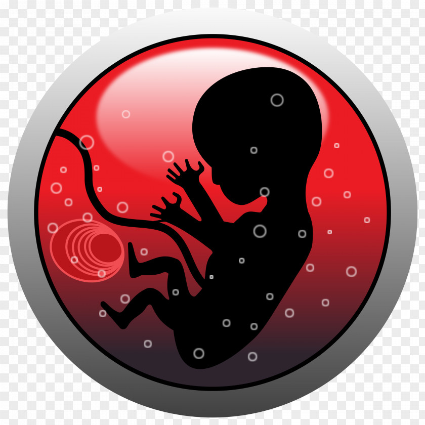 Human Embryo Fetus Abortion Clip Art PNG