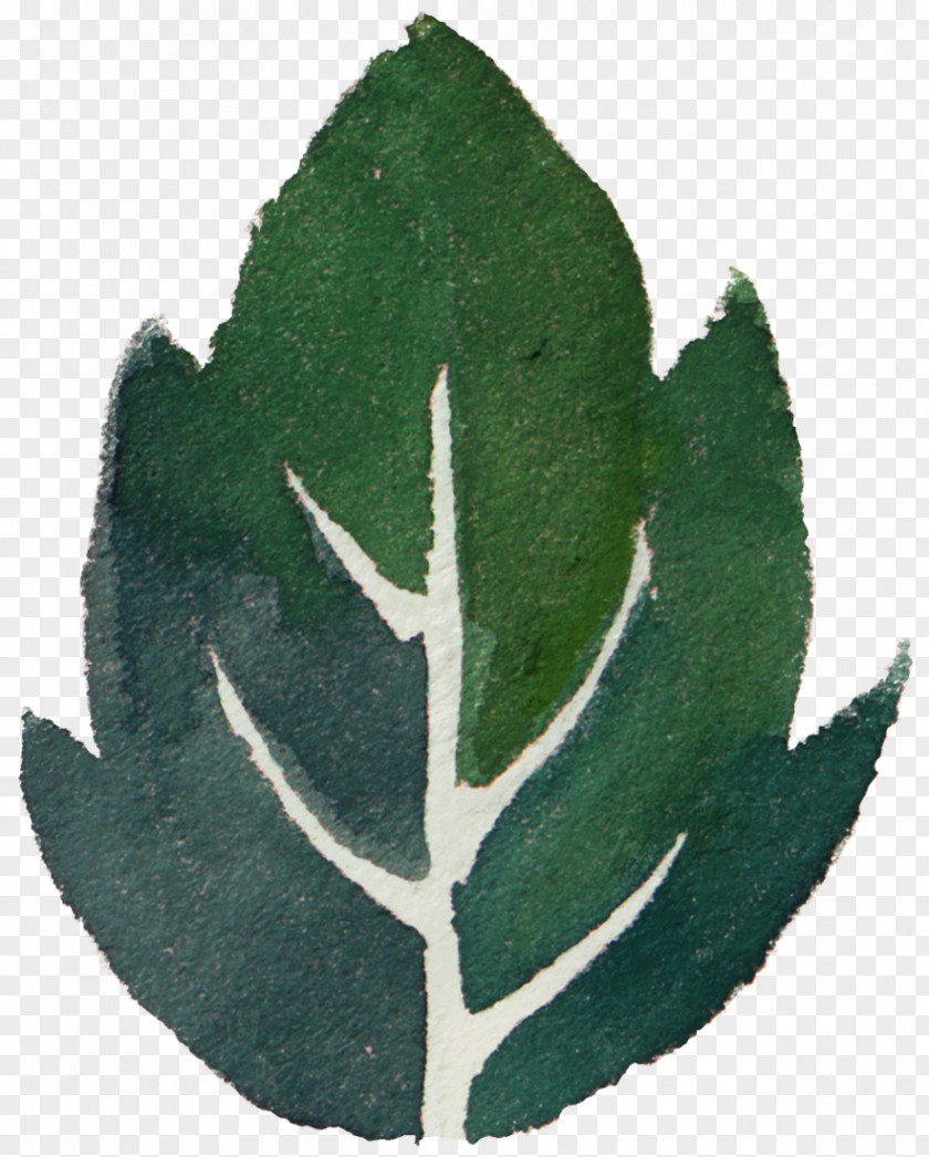 Leaves Falling Element Transparent Leaf Watercolor Painting Green PNG