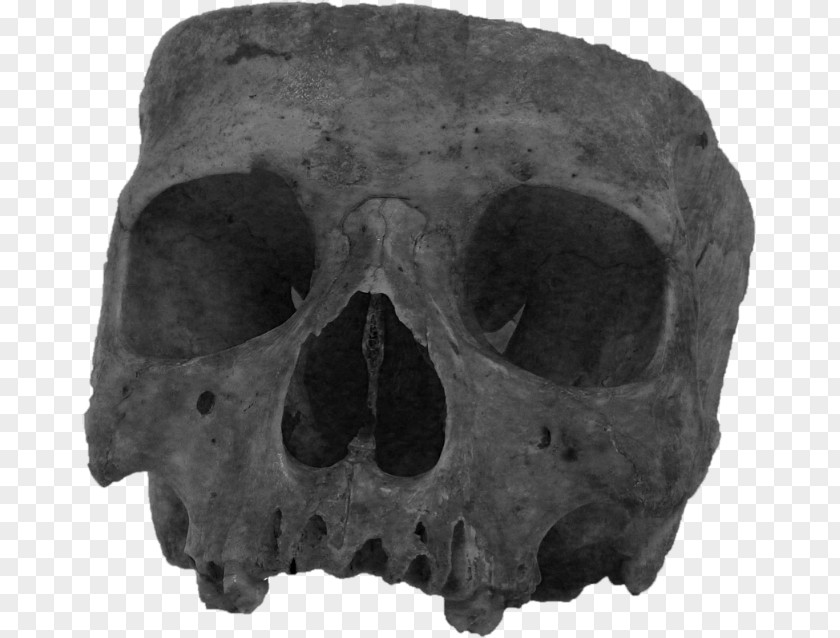 Dark Skull White PNG