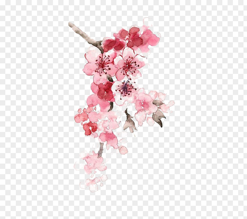 Ink Peach Cherry Blossom Watercolor Painting Chinese PNG