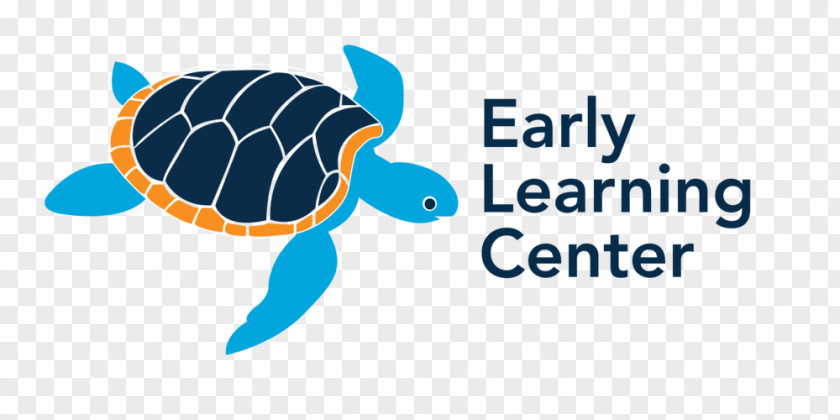 Turtle Logo Top Shelf: Essential Learning For The Internal Medicine Clerkship Brand Sea PNG