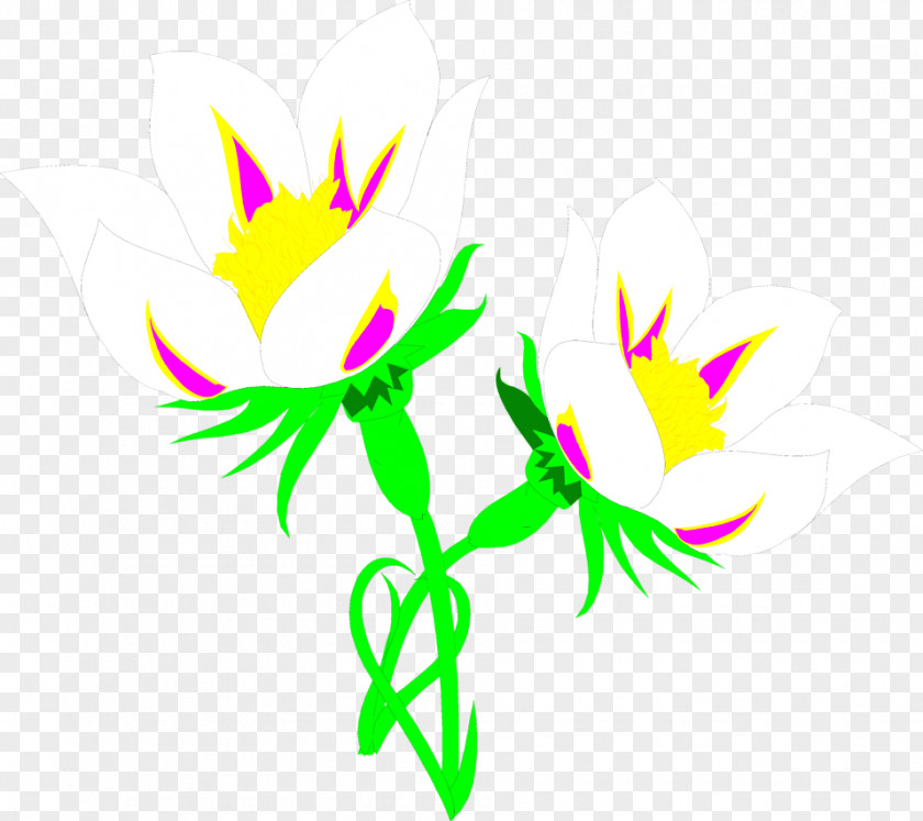 White Flower Illustration Lilies Lily Fletcher Clip Art PNG