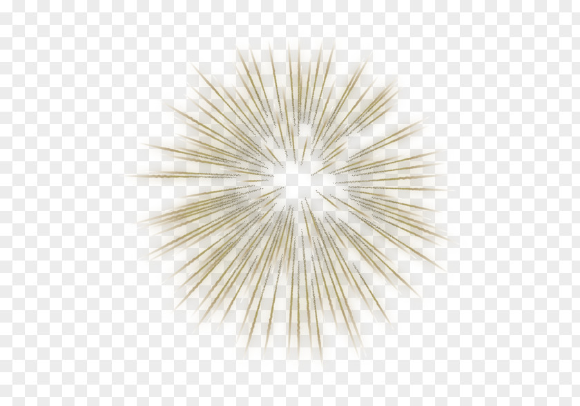 Beautiful Fireworks Animation Art Museum Clip PNG