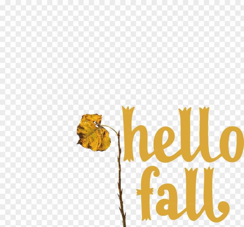 Hello Fall Fall Autumn PNG