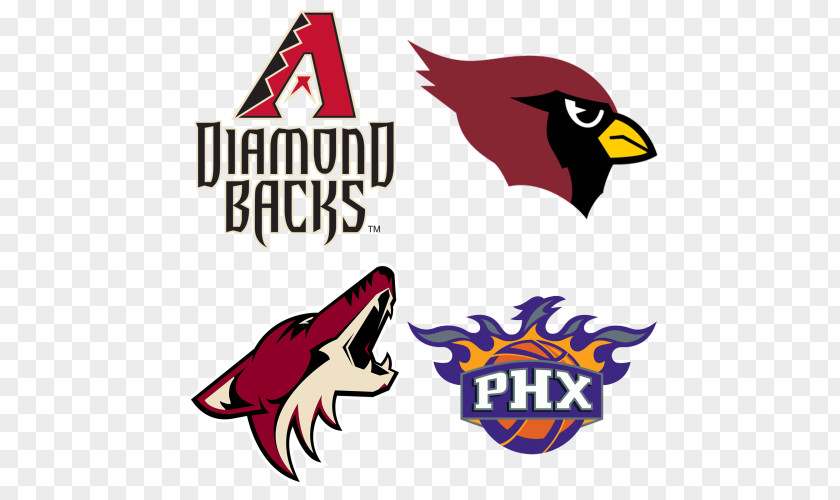 Phoenix Arizona Diamondbacks Suns Coyotes Cardinals PNG