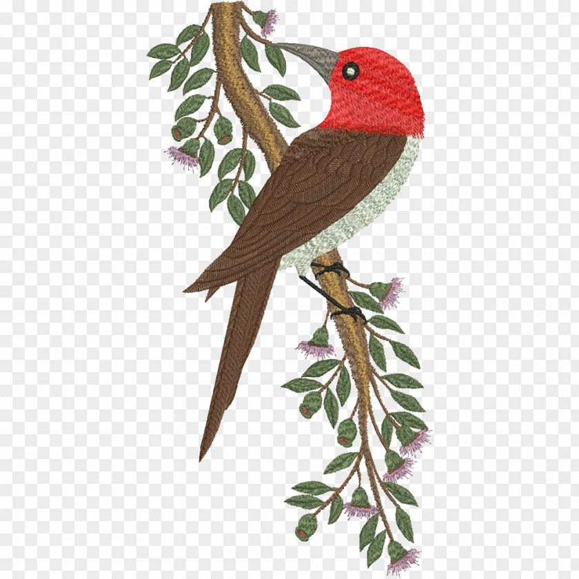 Bird Machine Embroidery Parrot Beak PNG