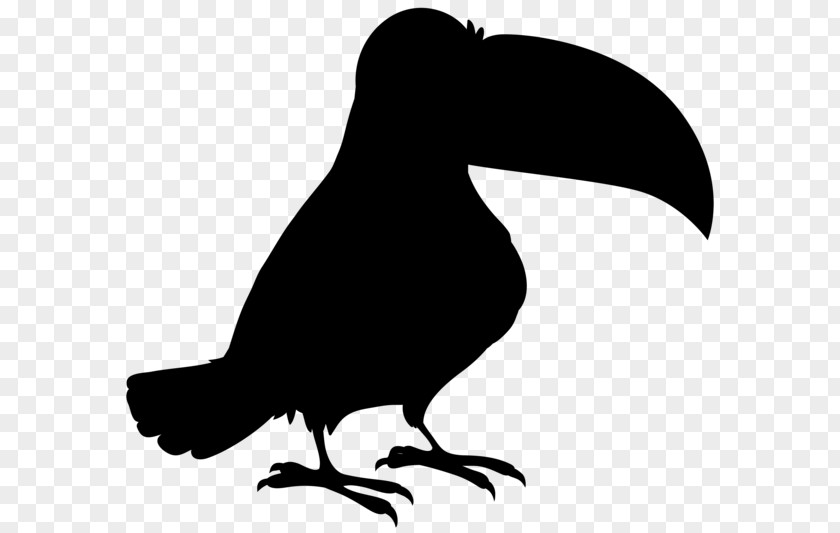 Bird Toco Toucan Parrot Image PNG