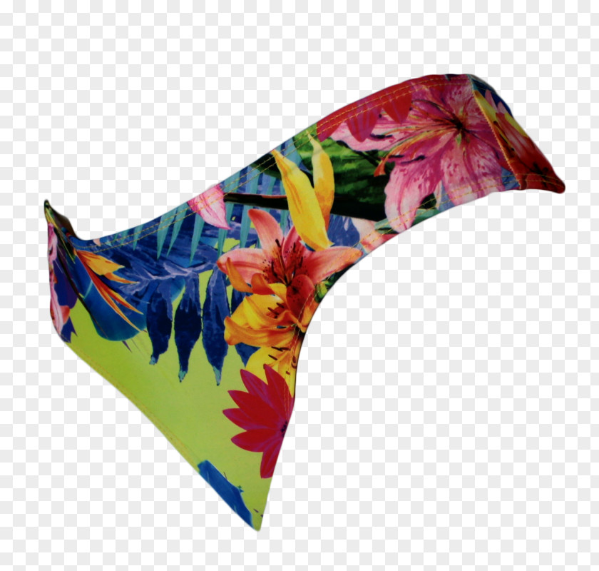 Calcinha Silk PNG