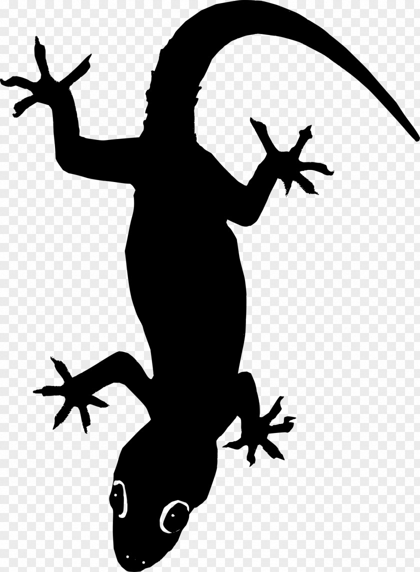 'k' Vector Lizard Clip Art PNG