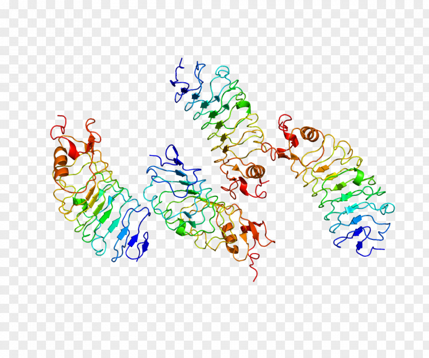 Pathway SLIT2 Protein Structure Pleiotropy PNG