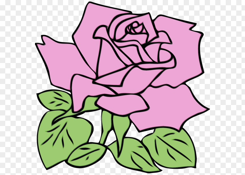 Rose PNG