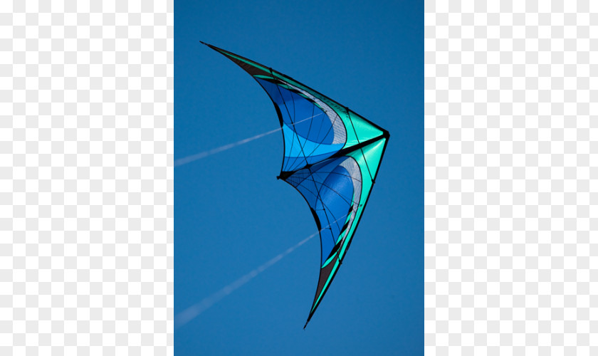 Sport Kite Aviation Prism PNG