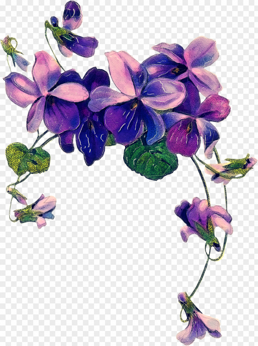 Cut Flowers Morning Glory Sweet Pea Flower PNG