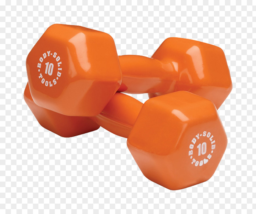 Dumbbell Weight Training Exercise Equipment Strength PNG