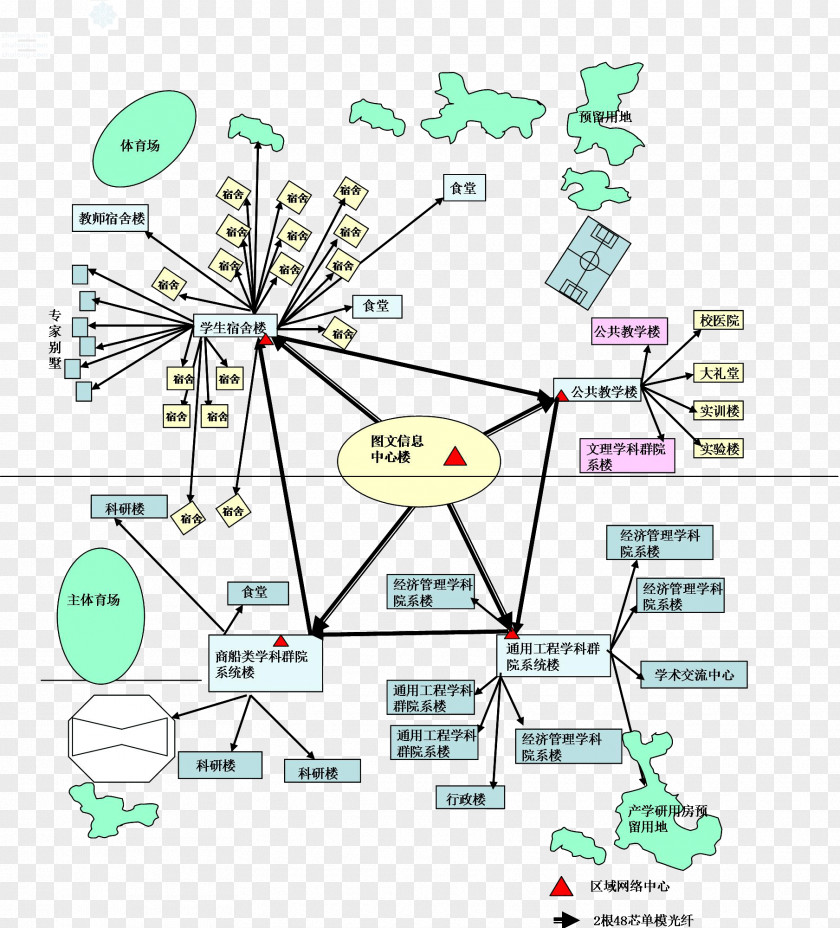 Line Tree Point Angle Human Behavior PNG