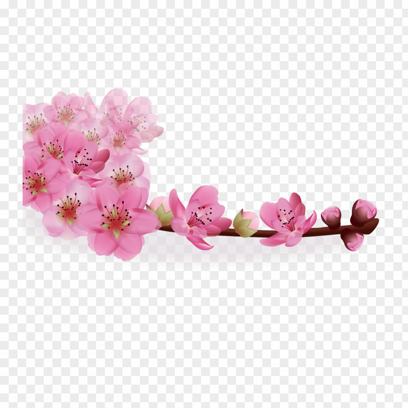 Vector Japanese Cherry Blossoms In Full Bloom Flower Greeting Card Stock Photography Gift PNG