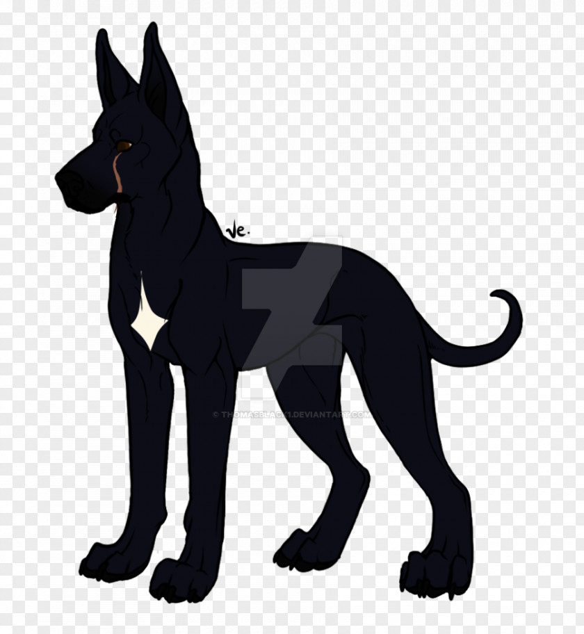 Cat Dog Breed Neopets PNG