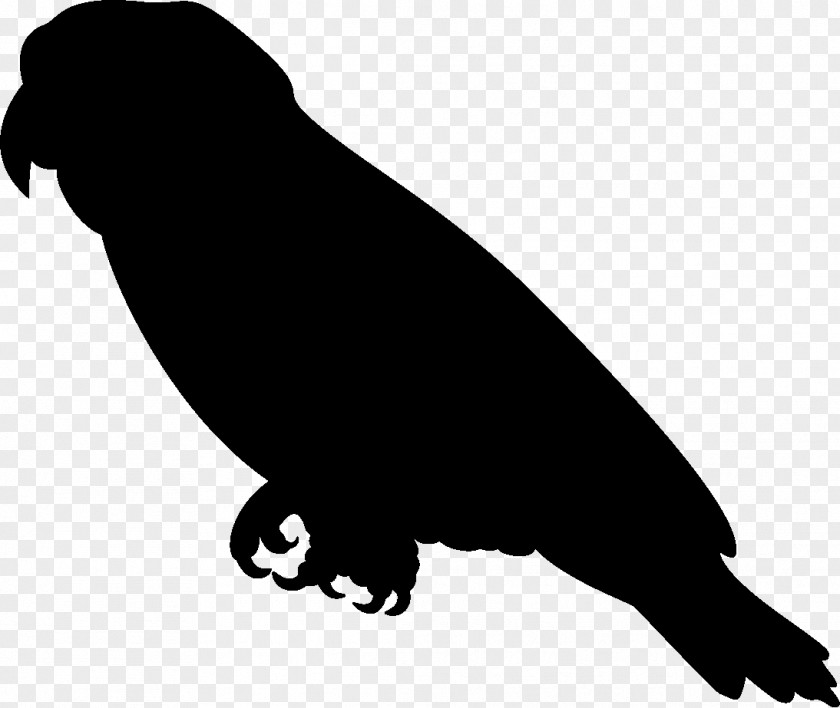 Silhouette Amazon Parrot Clip Art PNG
