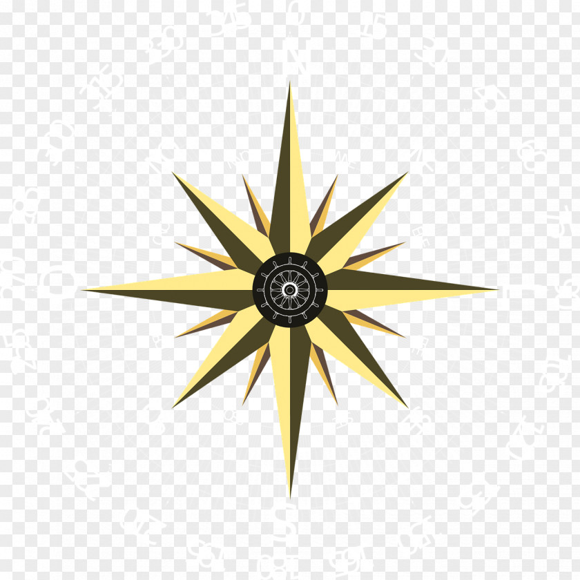 Windrose Symmetry Line Graphics Flower PNG